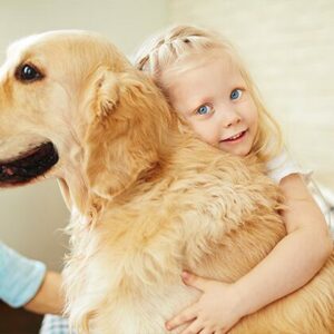 Depositphotos_88886058_original-s-580x420 Animal Control